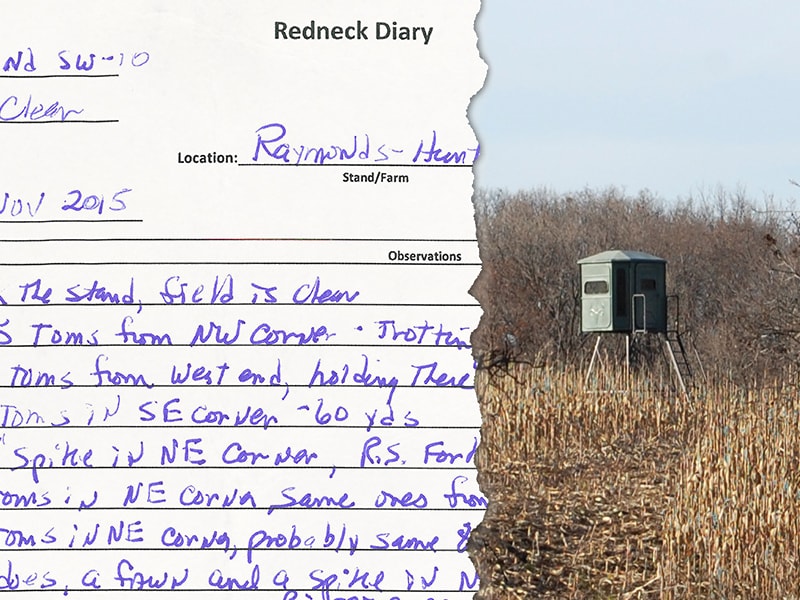 Redneck Notebook The Redneck Diaries | Larry's Short Stories
