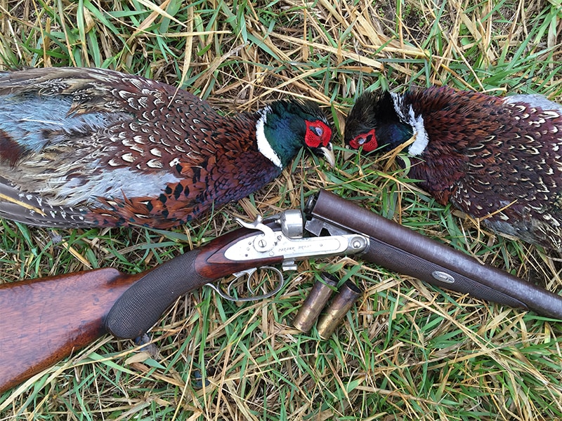 Black Powder Pheasants | Larry's Short Stories