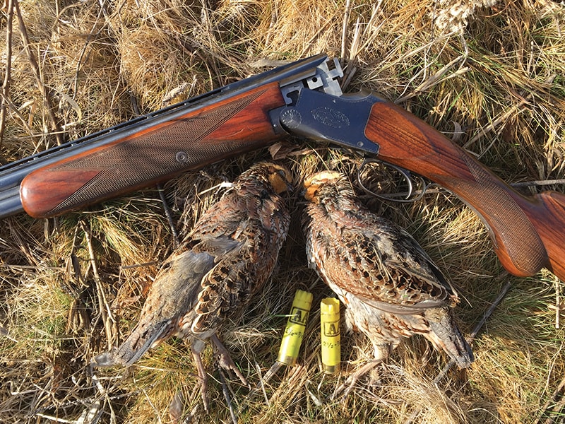 Quail Hunting Guns