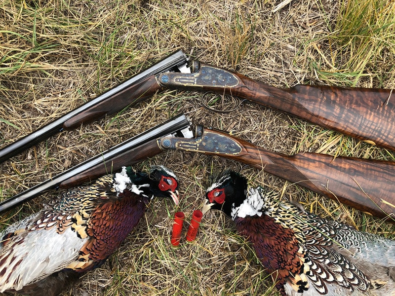 Tall Pheasants in Idaho | Larry's Short Stories