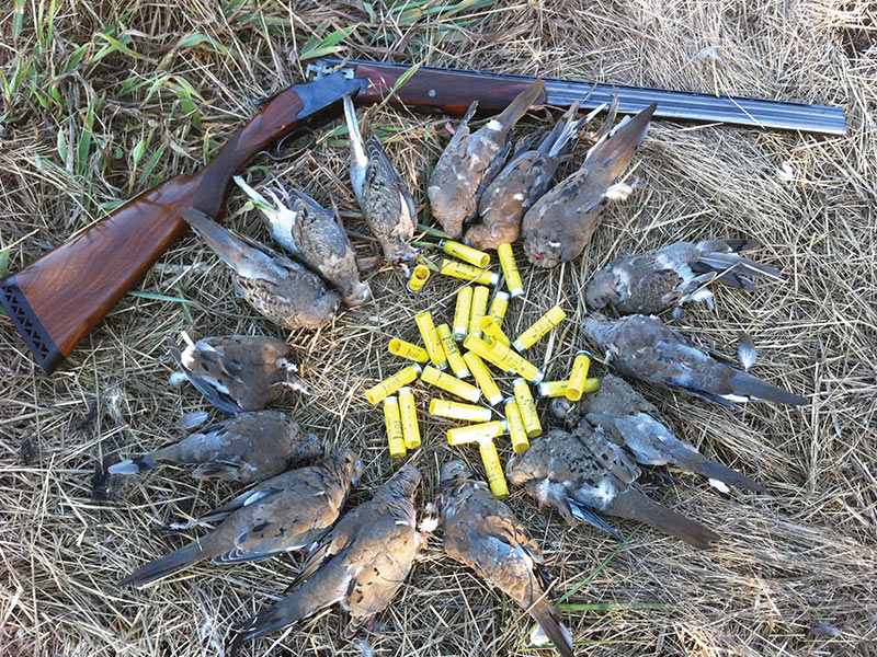 My Favorite Shotgun for Pheasants Larry's Short Stories