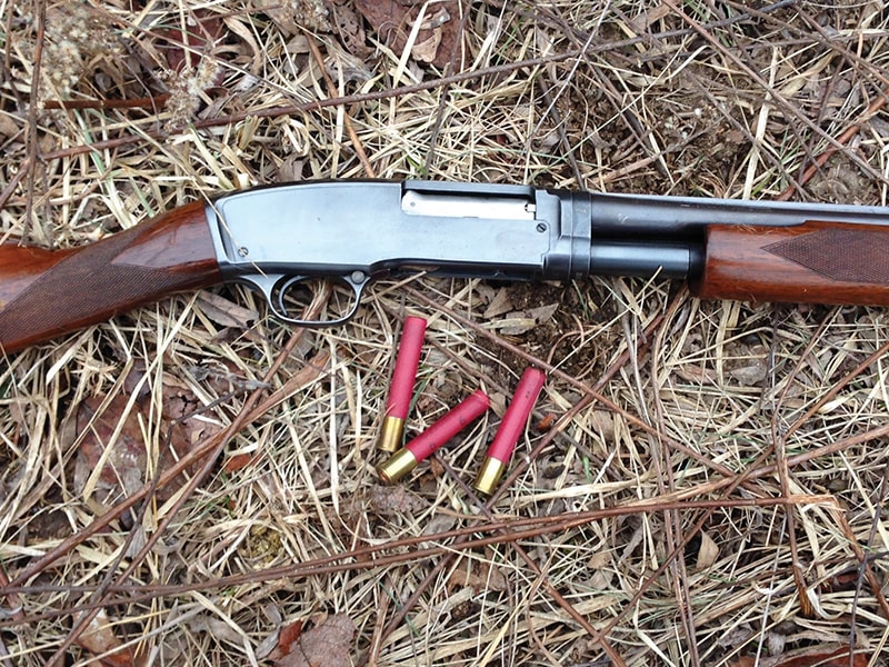 My Favorite Shotgun for Rabbit Hunting Larry's Short Stories