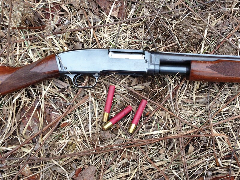 My Favorite Shotgun for Rabbit Hunting Larry's Short Stories