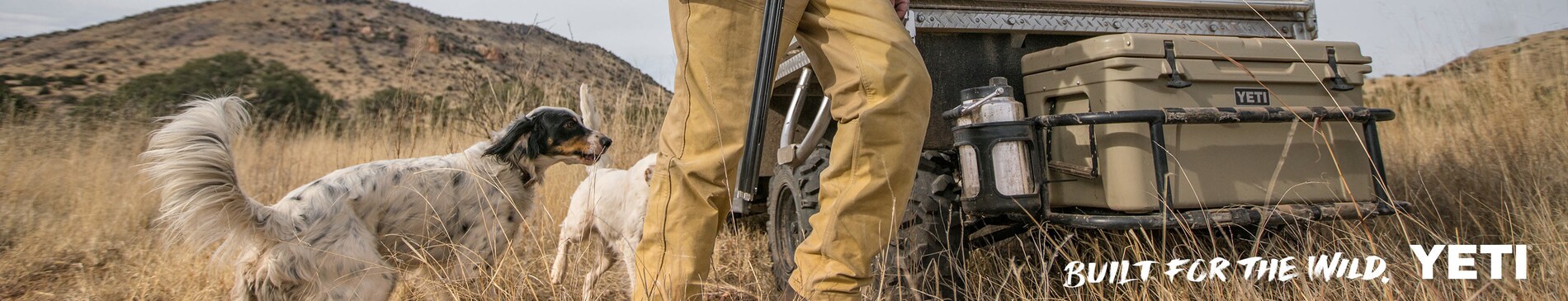 Shop All Yeti