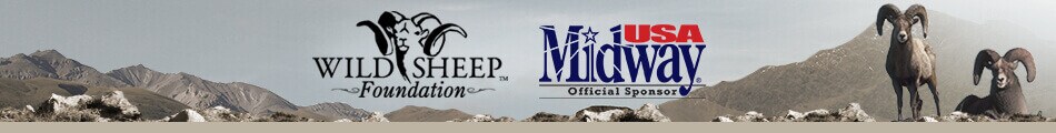 wsf banner