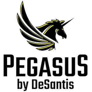 Pegasus