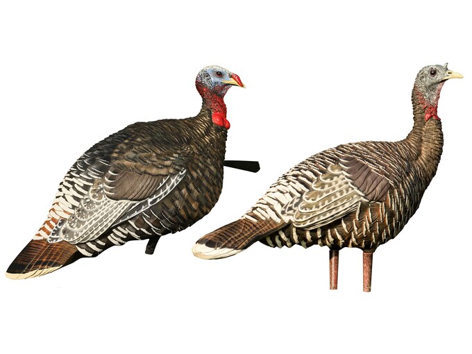 AvianX LCD Merriam Hen Lookout Jake Turkey Decoy Combo
