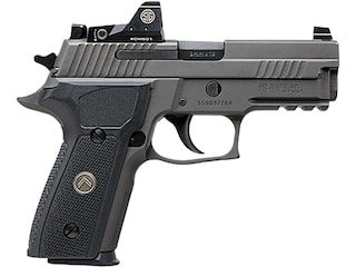 Sig Sauer P229 RXP Legion Semi-Automatic Pistol 9mm Luger 3.9" Barrel 15-Round Manual Safety with Romeo1 Red Dot Legion Gray Black image