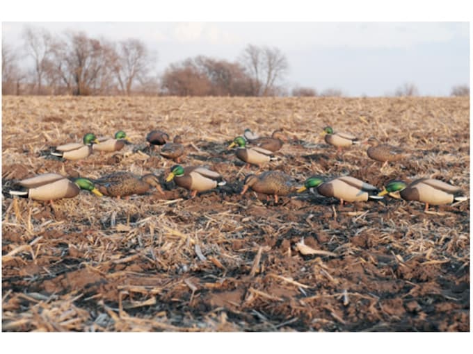 GHG ProGrade Full Body Flocked Head Mallard Duck Decoys Feeder Pack