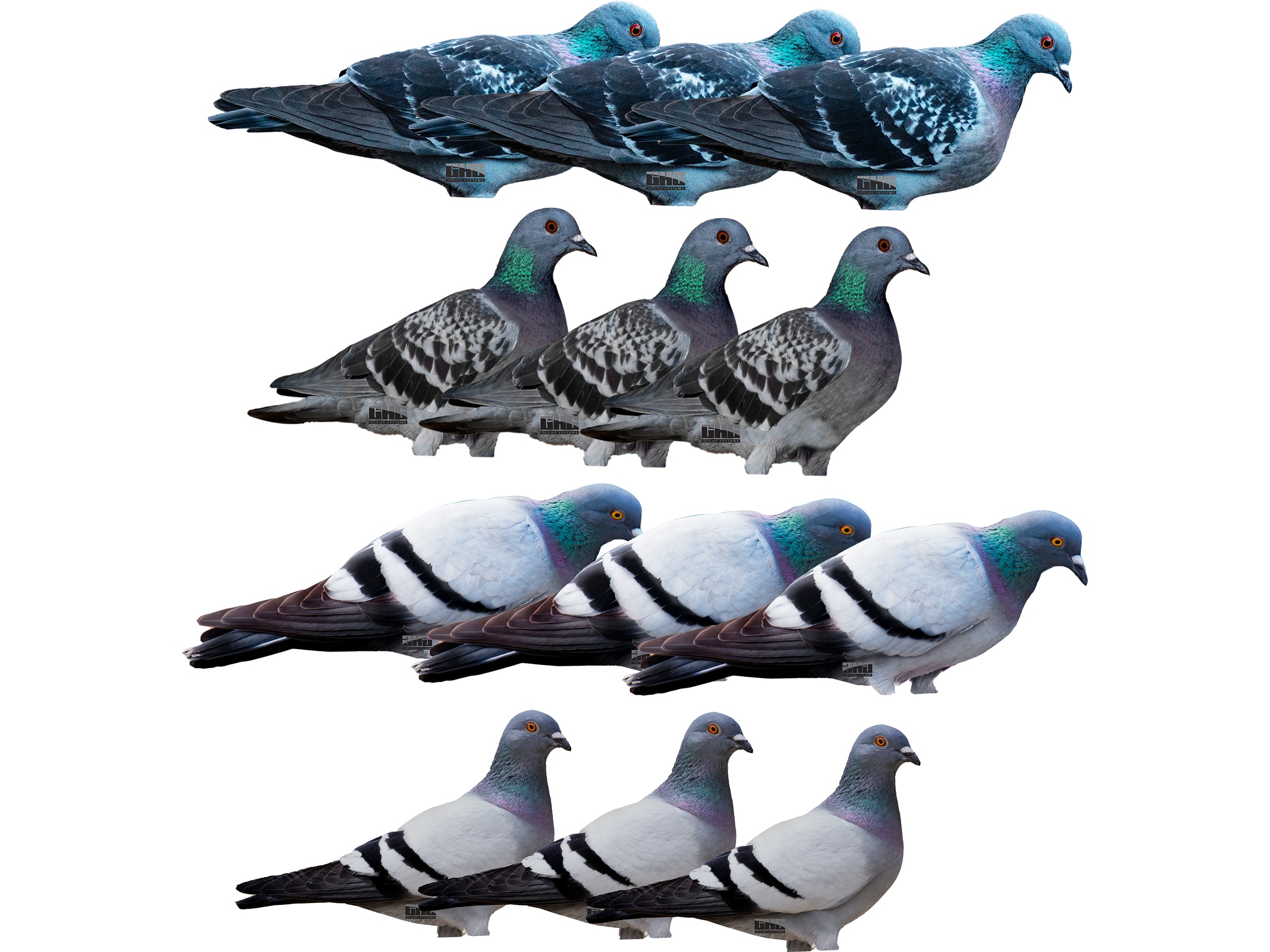 KCT Garden Decoy Pigeon Fake Hunting Bird - KCT Direct