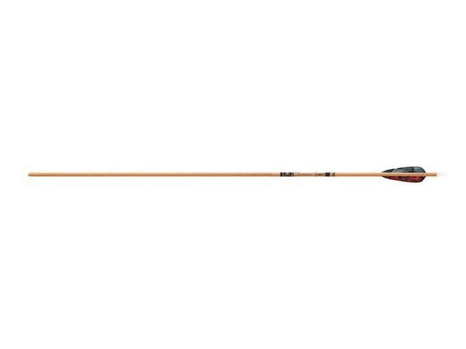 Gold Tip Traditional  Carbon Arrow