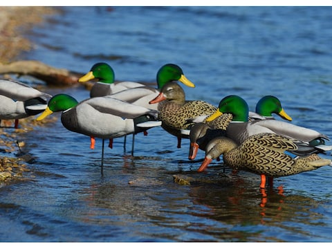 Ghg Ffd Elite Mallard Harvester Full Body Duck Decoy Pack Of 6