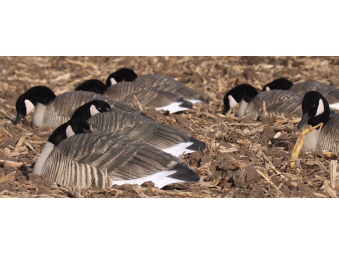 GHG ProGrade Honker Sleeper Goose Decoy Shells Pack of 12