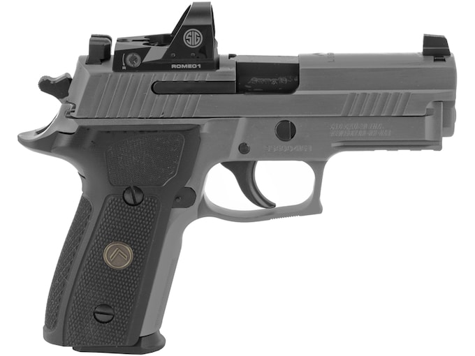 Sig Sauer P229RXP Legion Semi-Automatic Pistol 9mm Luger 3.9" Barrel 15-Round with Romeo1 Red Dot Legion Gray Black