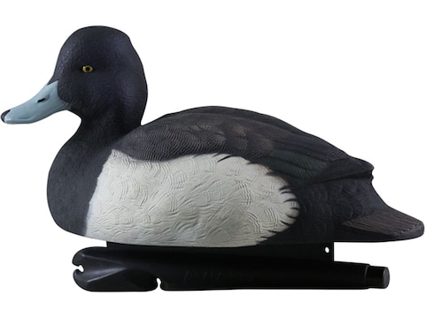 Best Diver Duck Decoys - Wildfowl