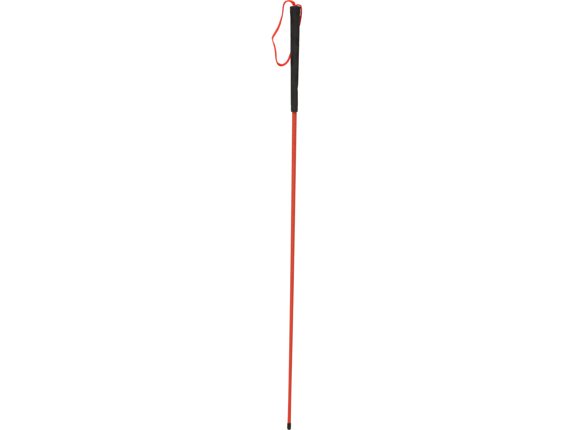 Dog heeling outlet stick