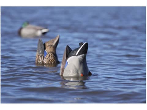 Ghg Pro Grade Weighted Keel Mallard Duck Decoys Butt Up Feeder Pack Of