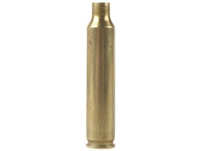 Winchester Brass 204 Ruger