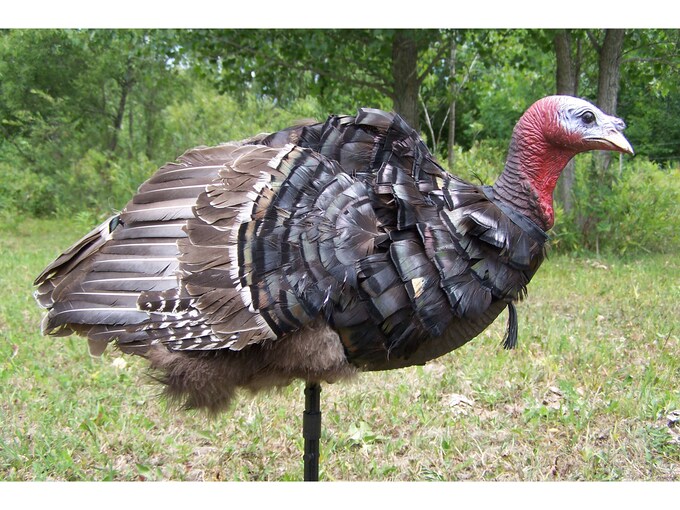 AWay Turkey Skinz Turkey Feather Decoy Cover