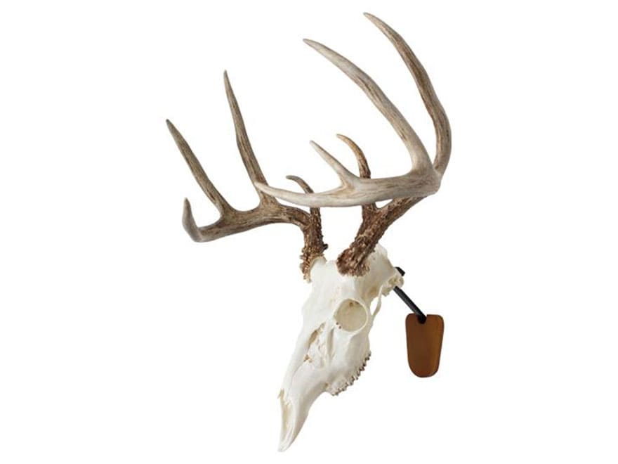 plastic deer skull