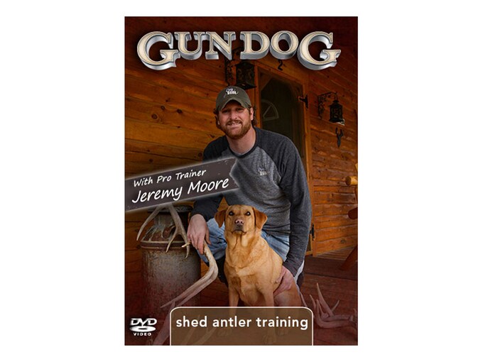 Gun Dog Shed Antler Training DVD