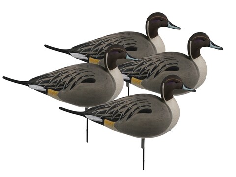 Ghg Over Size Active Pack Pintail Full Body Duck Decoy Pack Of 4