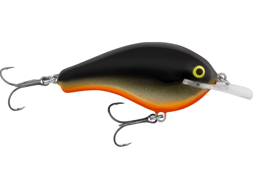 703342.jpg?imwidth=480