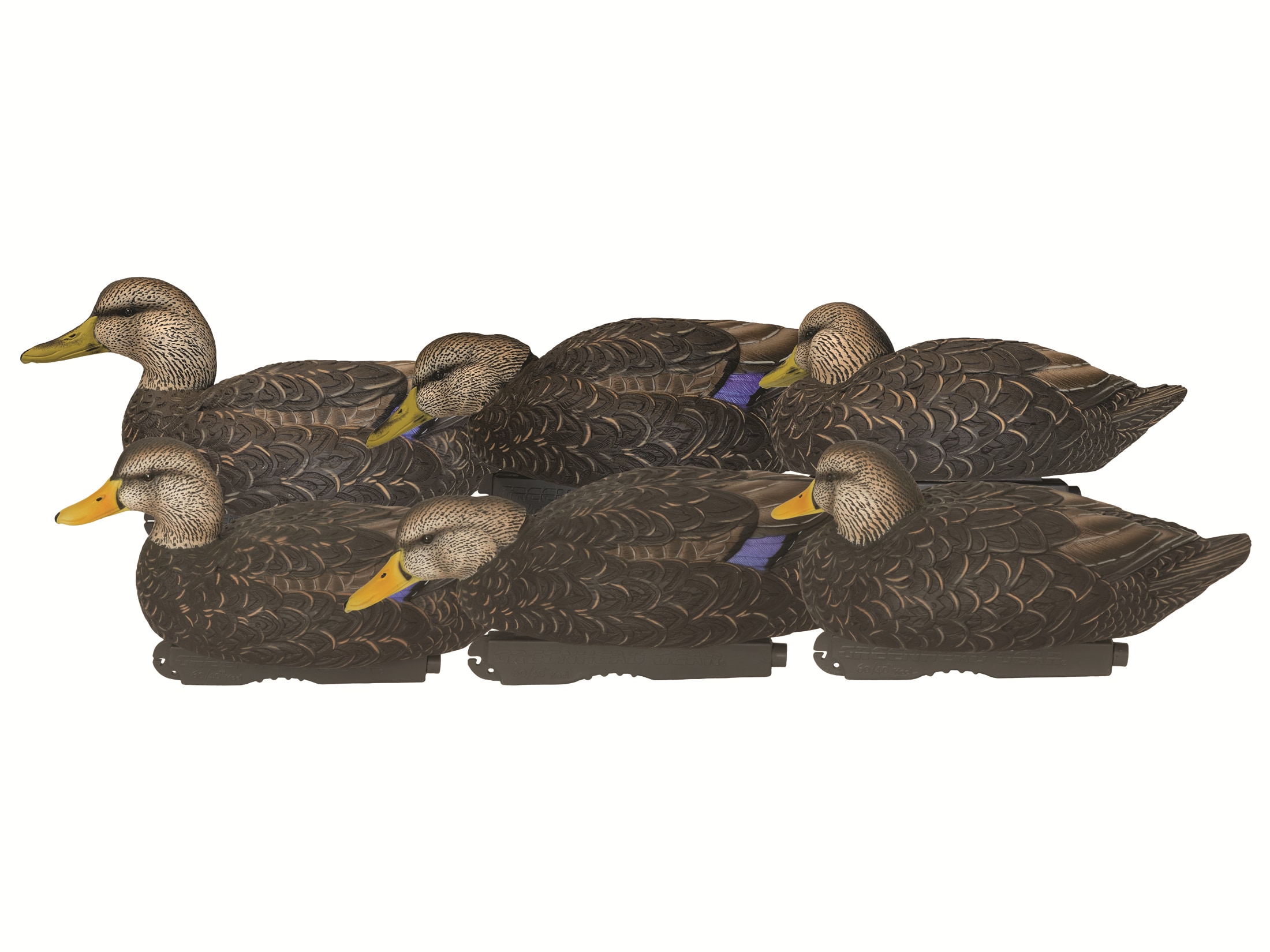 AVERY GREENHEAD GEAR GHG FFD PRO GRADE BLACK DUCK FLOATING DUCK DECOYS FLOCKED 