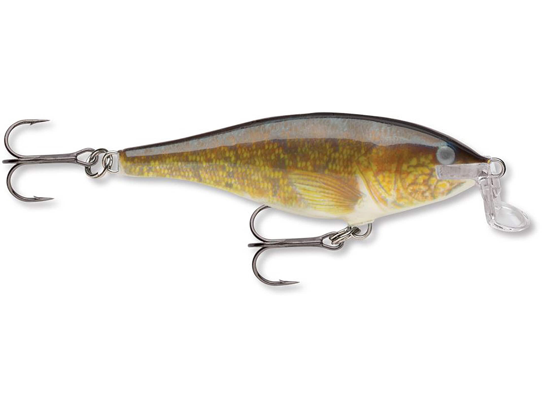 Walleye