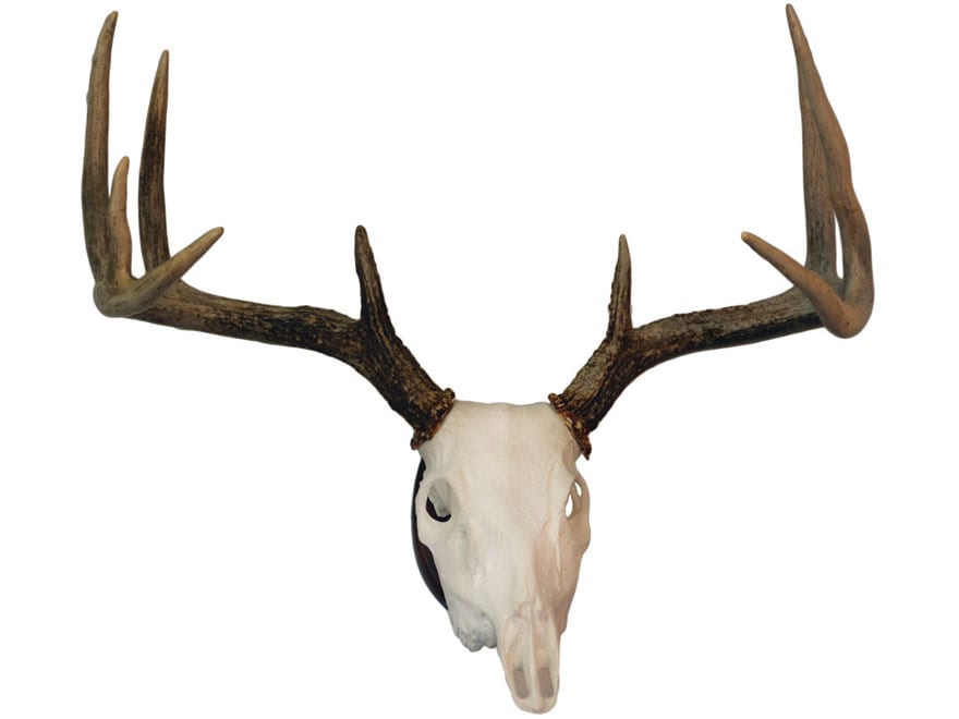 Hunters Specialties Deer Antler Mounting Plaque