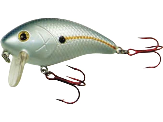 enlarged product image