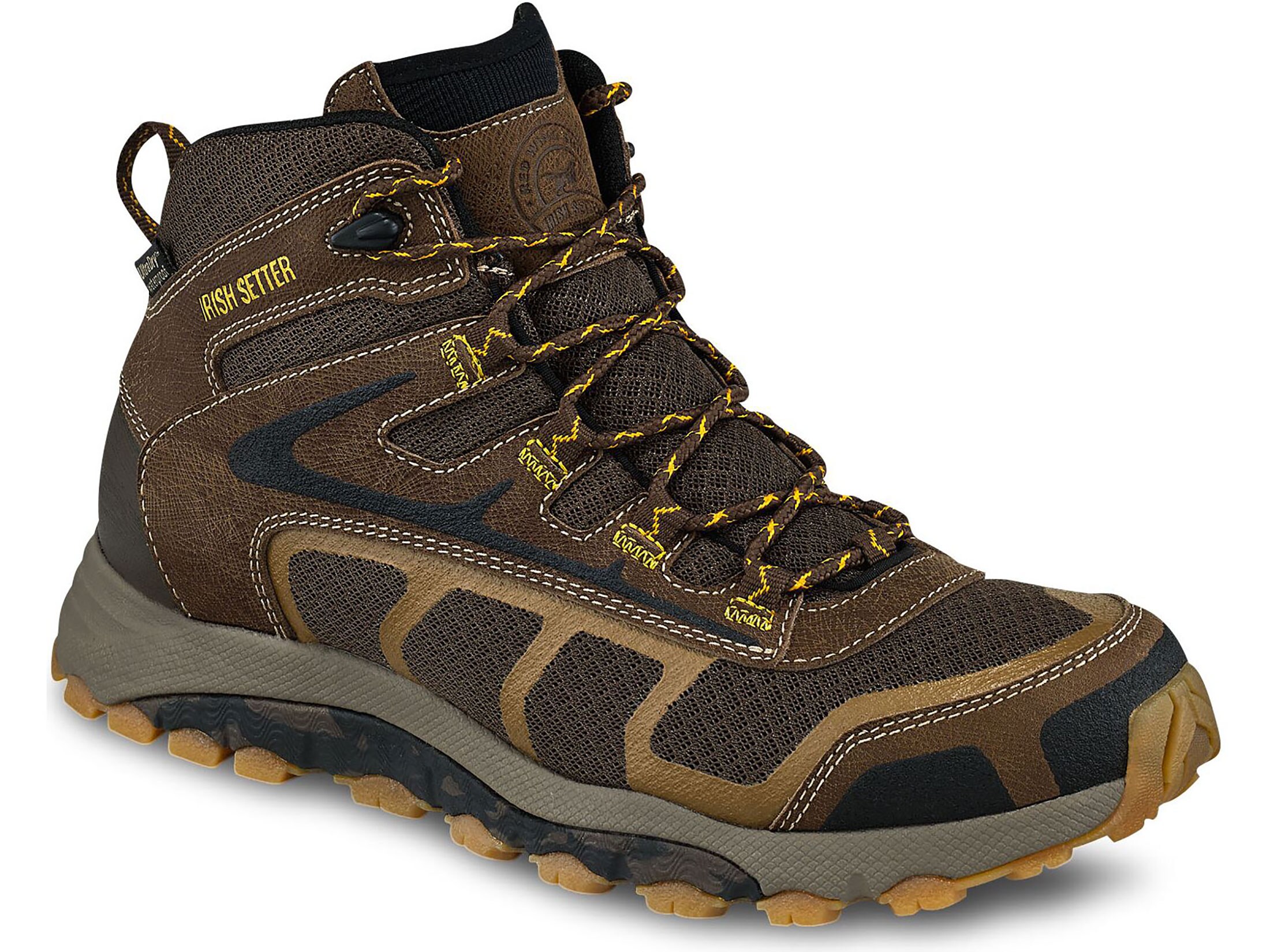 irish setter hikers