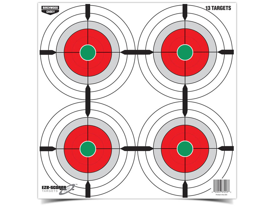 100 Pack Birchwood Casey Eze-Scorer 12x18 inches Paper Target 