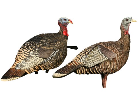 Avian X Lcd Rio Grande Hen Lookout Jake Turkey Decoy Combo Avian X Lcd Rio Grande Hen Lookout Jake Turkey Decoy Combo