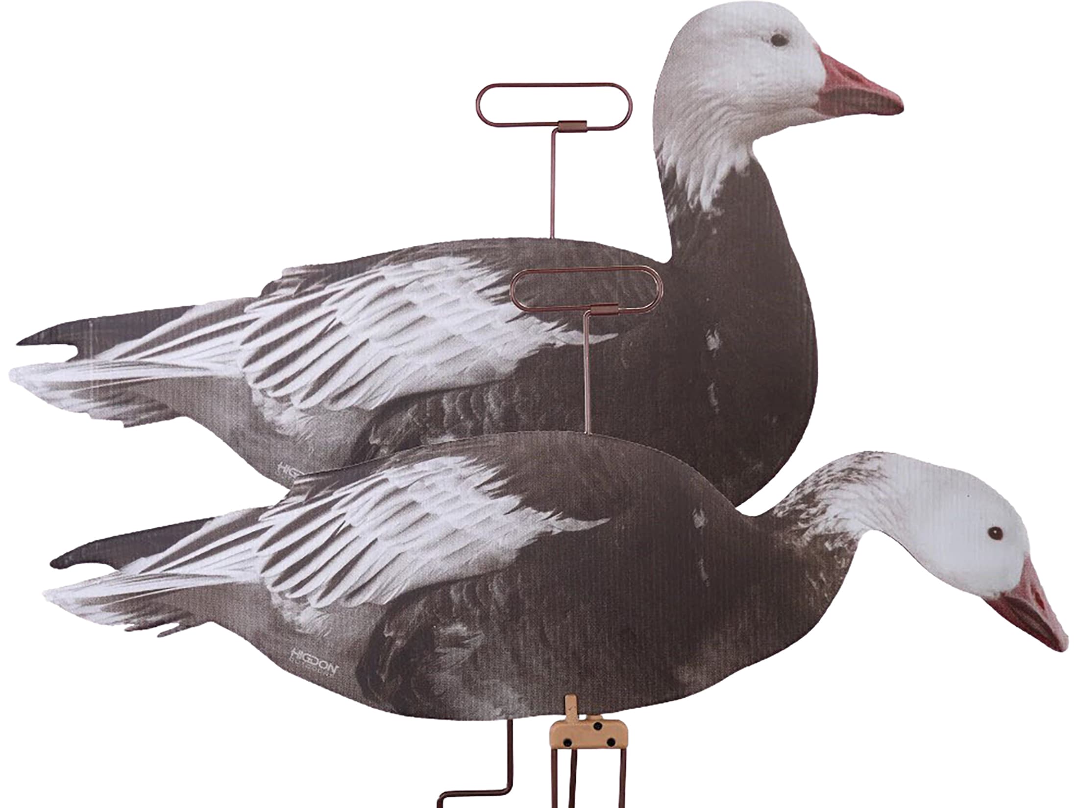 Higdon FLATS Specklebelly Goose Motion Silhouette Decoys 12 Pack