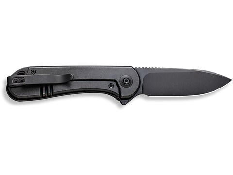 WE Knives Elementum Black Stonewashed 20CV Titanium Frame Lock Flipper  Folding Knife For Sale