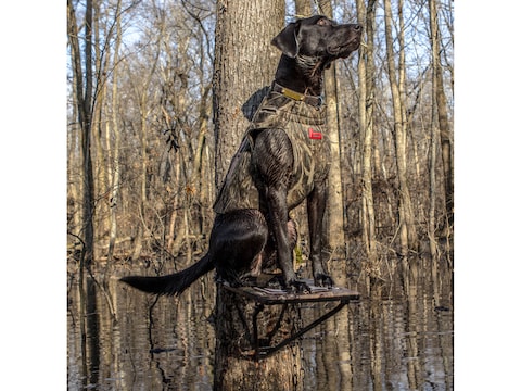 How to Choose the Best Dog Stand for Duck Hunting
