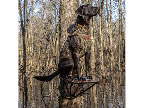 Timber Dog Stand - Brown