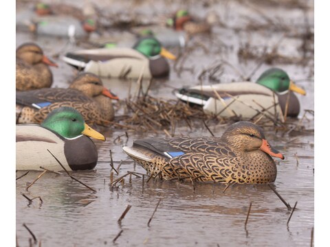 PondH2o Floating Duck Family Decoy Pack: Mallard Pair + 3 Ducklings For Pond, Lake, Yard