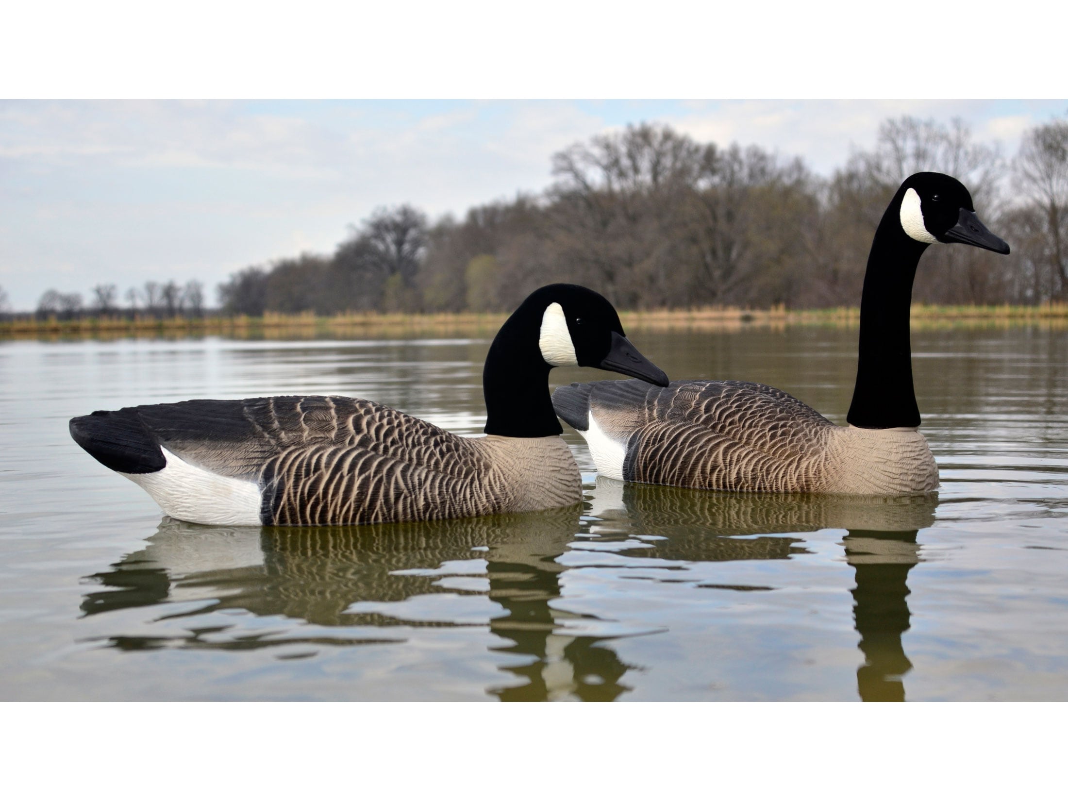 Higdon Full Size Floater Canada Goose Decoy Polymer 4PK