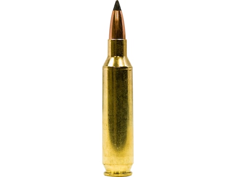 22 NOSLER brass (Nosler, QTY 50)