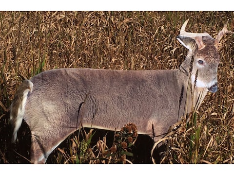 Montana Decoy - Roe Buck - Hunter's Friend Europe - Foto 3