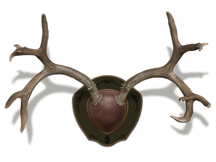 Universal Deer Antler Mounting Skull Plate Hunting Supplies Kit Shed