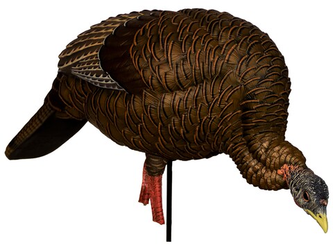Avian X HDR Feeding Hen Turkey Decoy