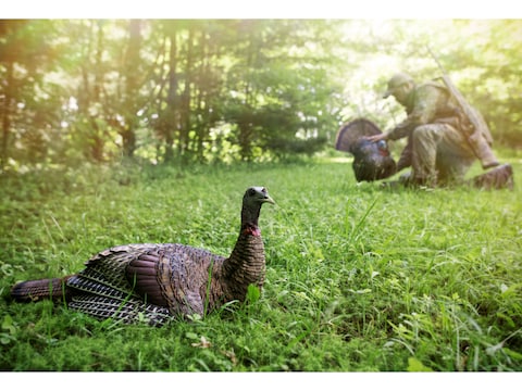 Avian X Lcd Laydown Hen Turkey Decoy