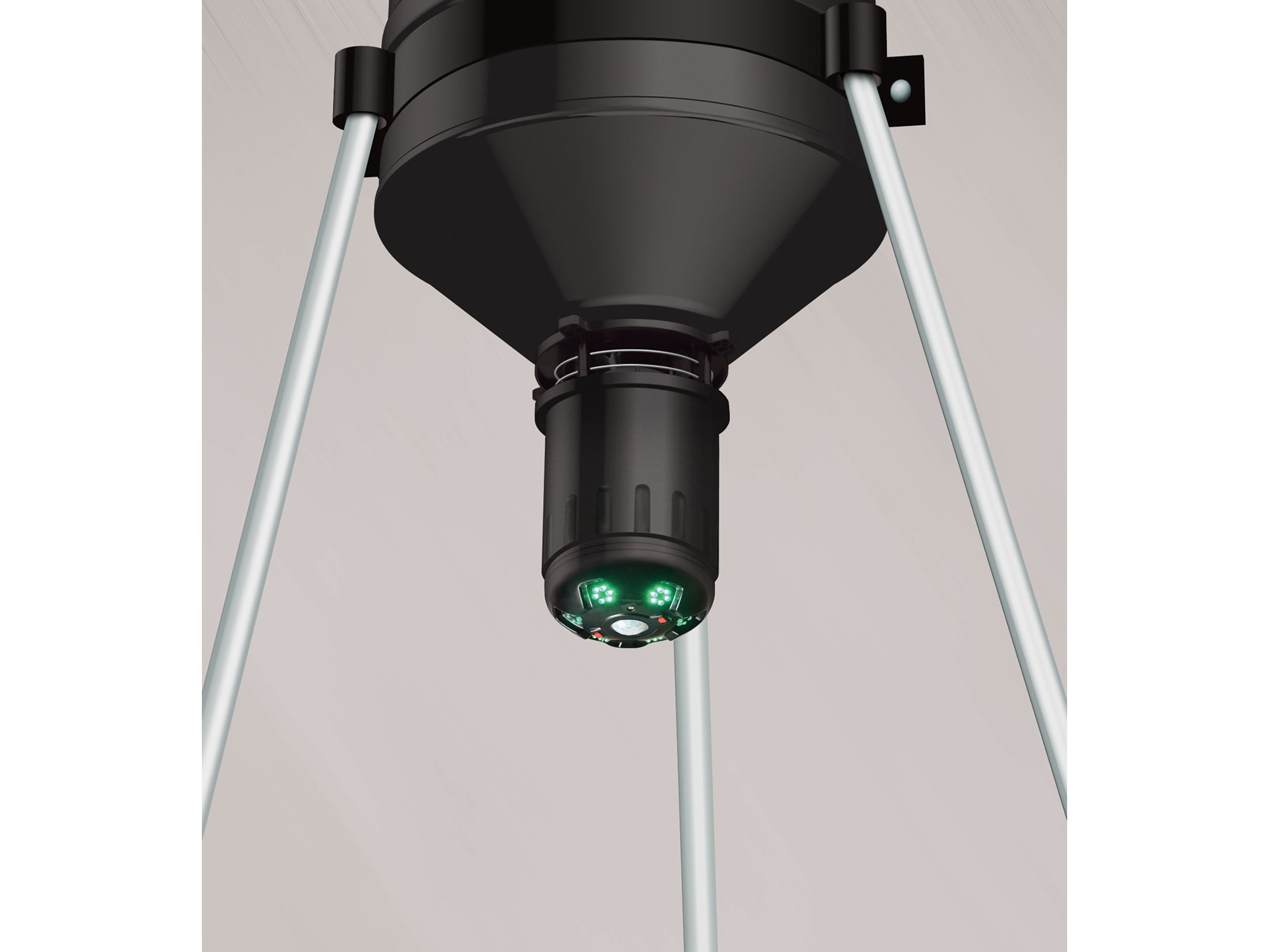 American Hunter Swine Shine Hog Light Motion Activated Feeder Light