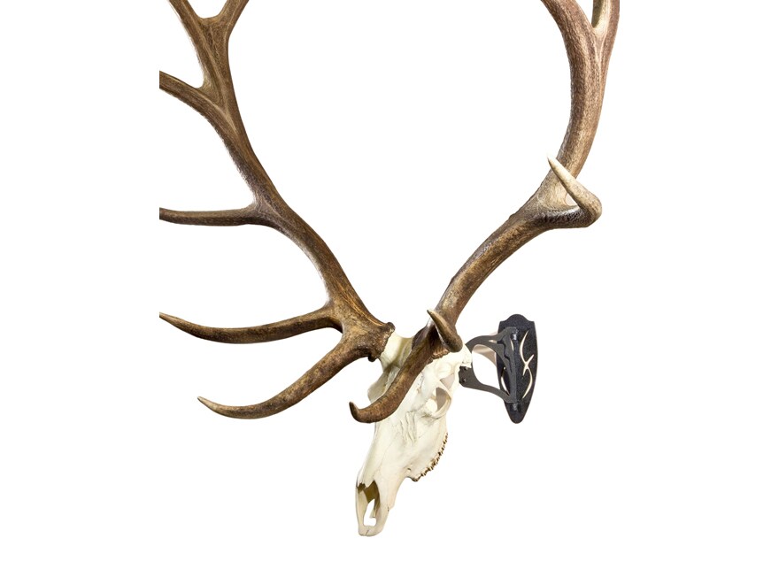 Skull Hooker Big Hooker European Mount Bracket