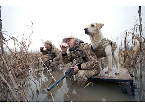 Avery Ruff Dog Marsh Stand