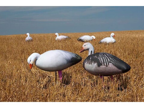  Avery Outdoors Hunting Gear Power Flag-Snow Goose : Hunting  Decoy Accessories : Sports & Outdoors