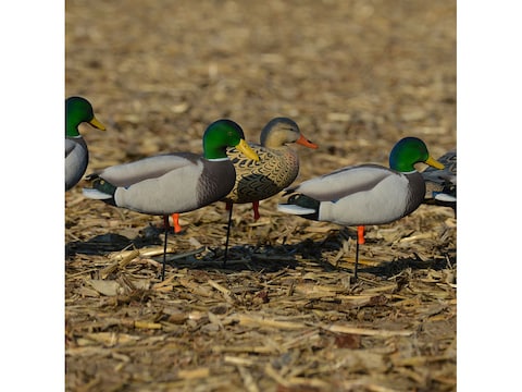 GHG Flocking Kit - Tan - Repair Your Flock Decoys